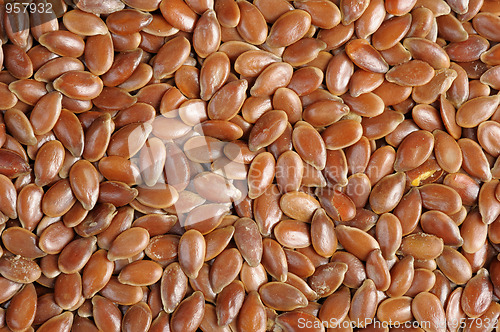 Image of Flaxseed