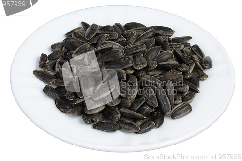 Image of Sunflower seeds, isolated