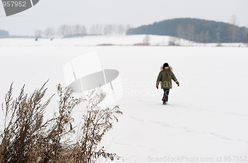 Image of Frozen Lake