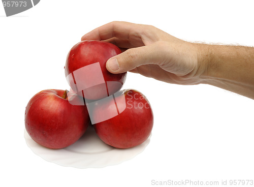 Image of Red apples, isolated