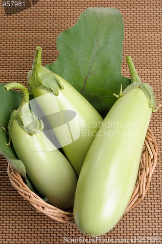 Image of Eggplants.