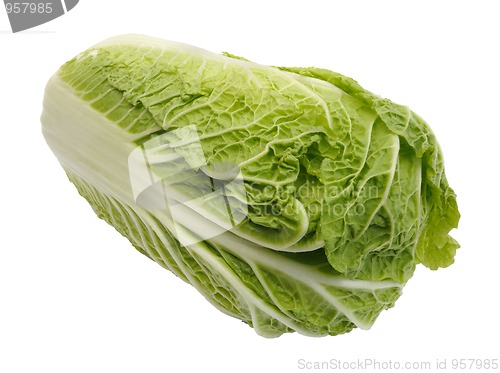 Image of Beijing cabbage, isolated