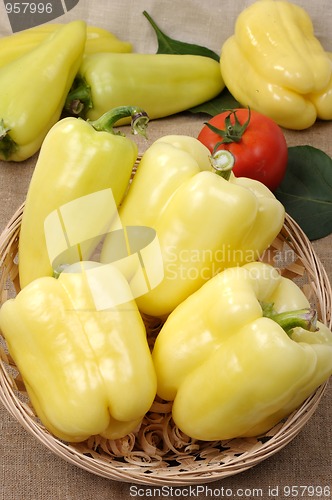 Image of Pepper