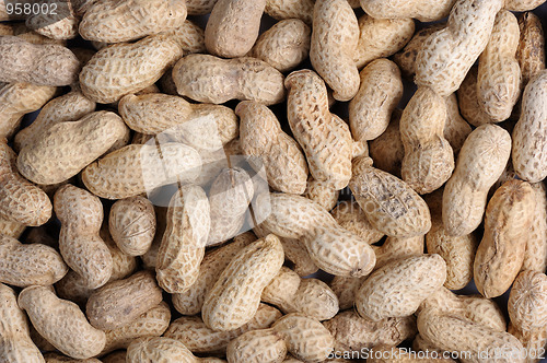 Image of Peanuts 