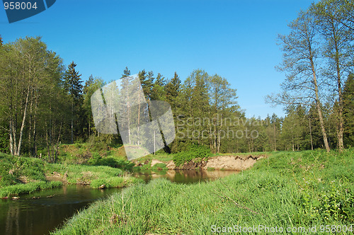 Image of River in the forest