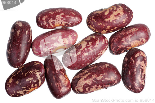 Image of Spotted beans, isolated