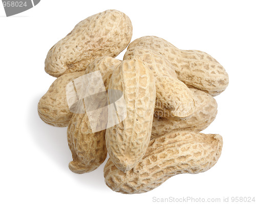 Image of Peanuts 