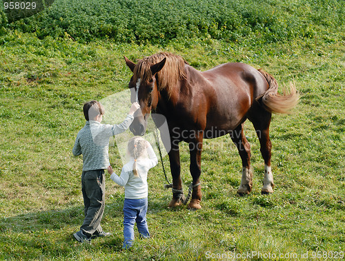 Image of Kids and horses