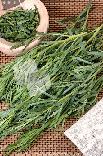 Image of Tarragon (Artemisa dracunculus)