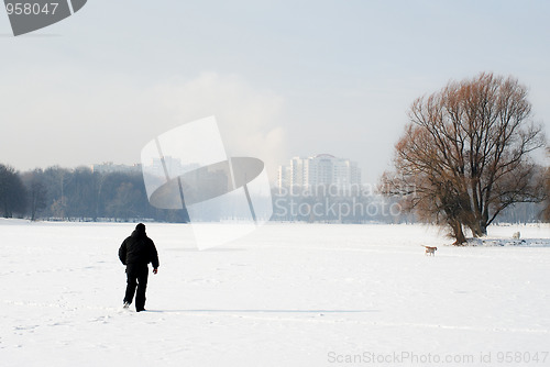 Image of Winter walk with the dog.