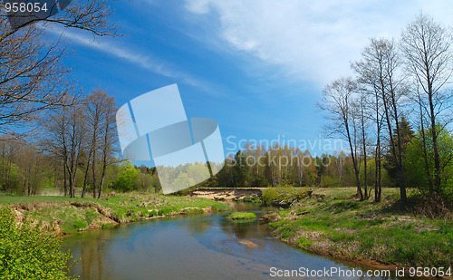 Image of River in the forest