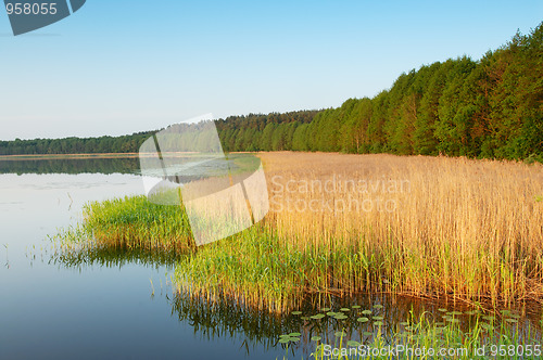 Image of Coast of lake