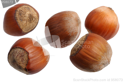 Image of Hazelnuts, isolated