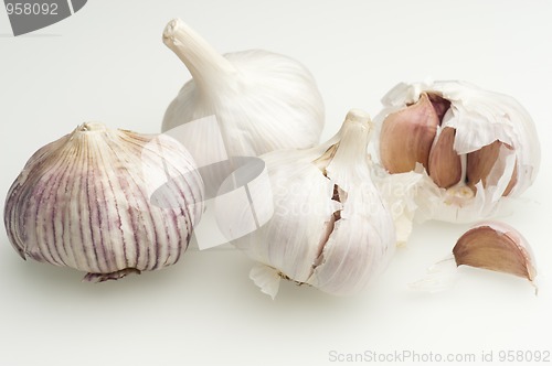 Image of Garlic Bulbs (Allium sativum)