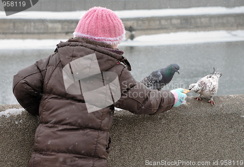 Image of Feeding pigeons in winter.