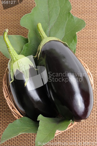 Image of Eggplants.