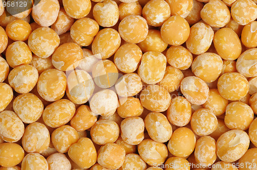 Image of Pea, isolated
