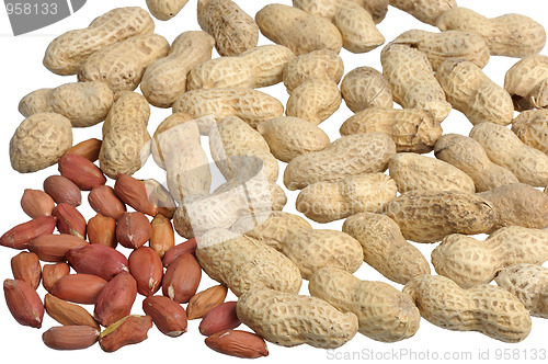 Image of Peanuts 