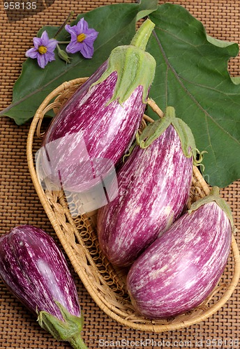 Image of Eggplants.