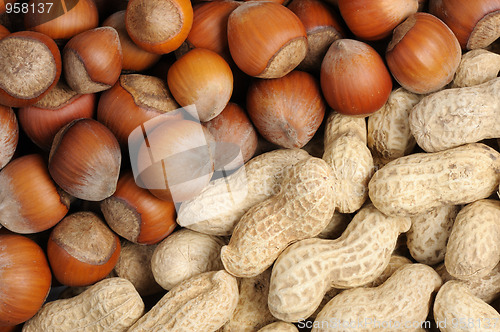 Image of Walnuts and peanuts