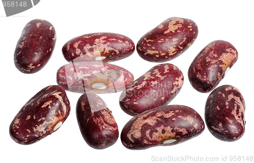 Image of Spotted beans, isolated