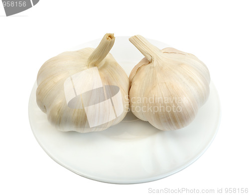 Image of Garlic, isolated