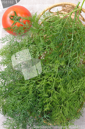 Image of Dill