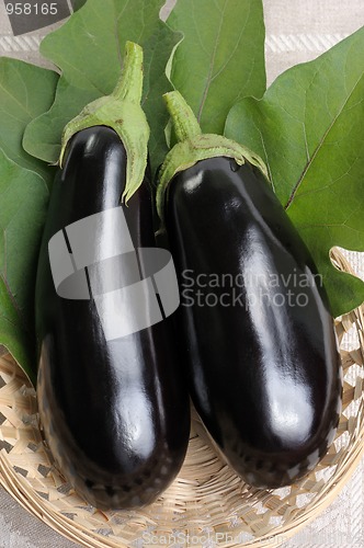 Image of Eggplants.