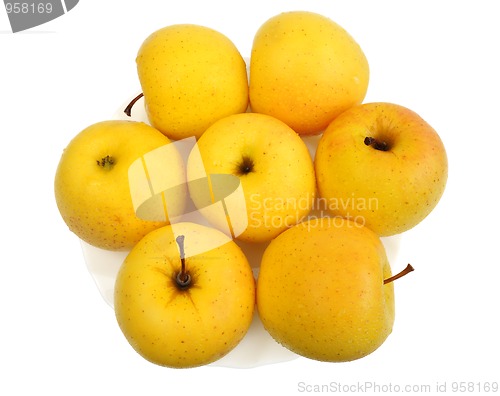 Image of Yellow apples, isolated