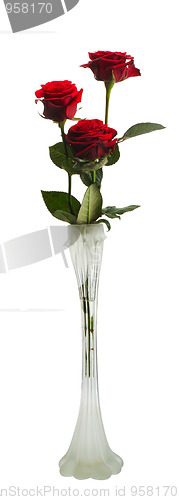 Image of Three red roses, isolated
