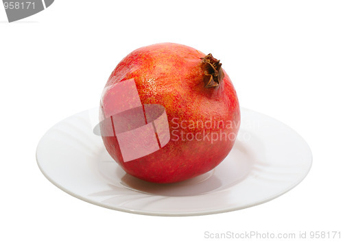 Image of Pomegranate