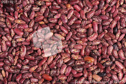 Image of Spotted beans, isolated