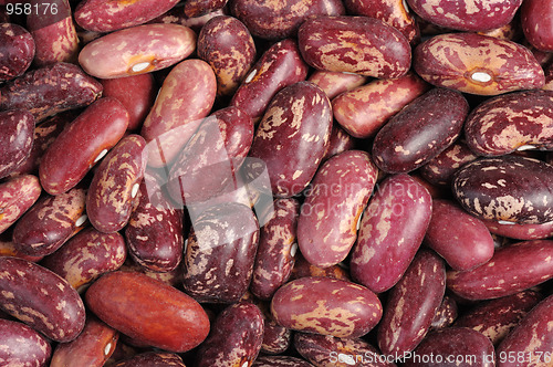 Image of Spotted beans, isolated