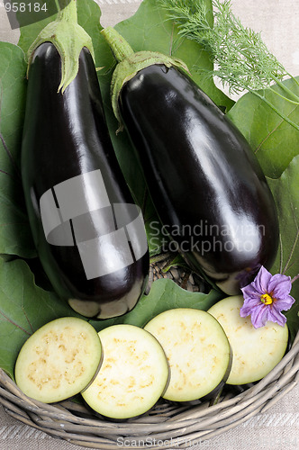 Image of Eggplants.