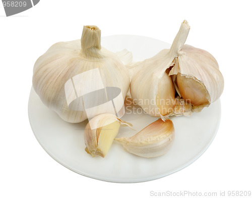 Image of Garlic, isolated