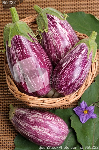 Image of Eggplants.