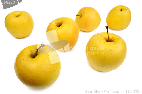 Image of Yellow apples, isolated