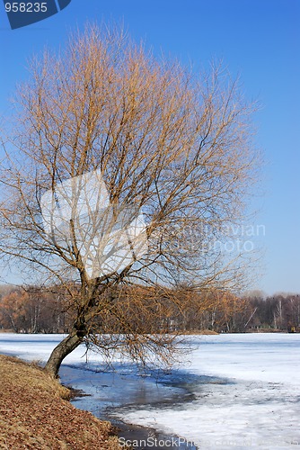 Image of Spring on the lake.