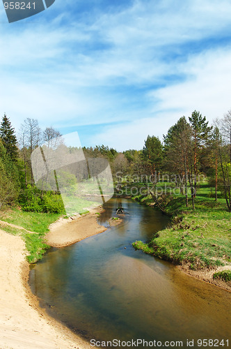 Image of River in the forest