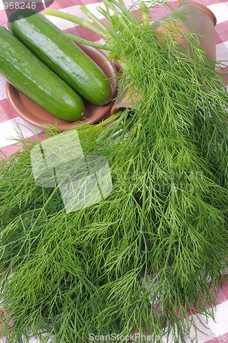 Image of Dill