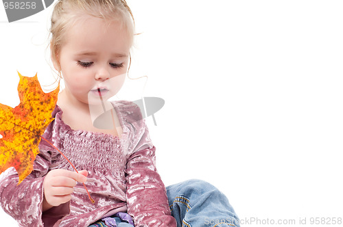 Image of Toddler with maple leaves