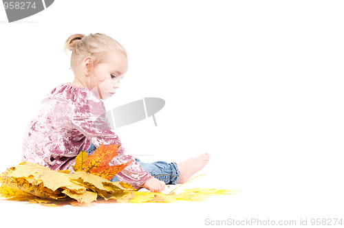 Image of Toddler with maple leaves