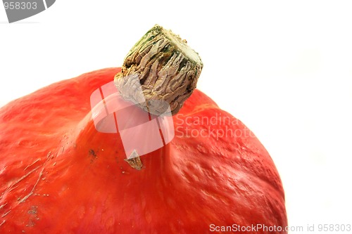 Image of Pumpkin