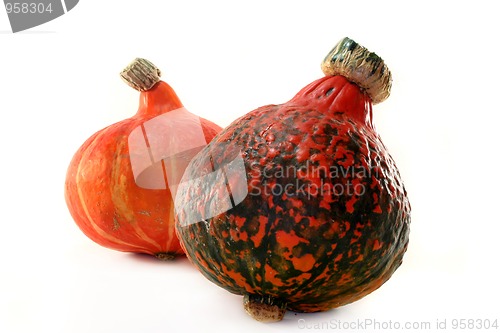 Image of Pumpkin