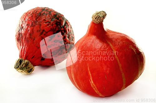 Image of Pumpkin