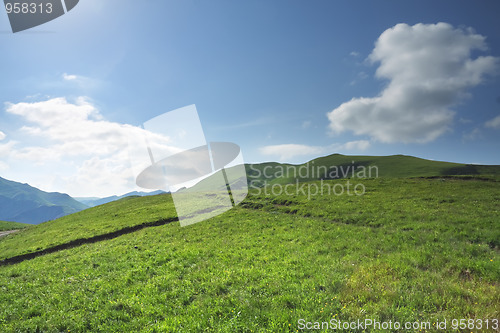 Image of Green hill