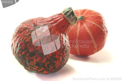 Image of Pumpkin