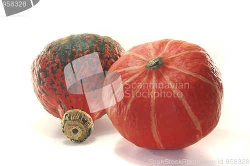 Image of Pumpkin