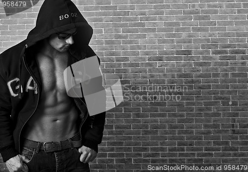 Image of Sexy muscular man 
