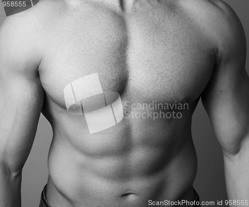 Image of Abs of a muscular man